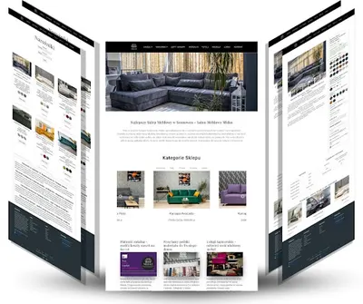 E-profesjonalista - Strony Internetowe i Sklepy Online